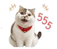 859455938