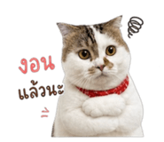 859455943