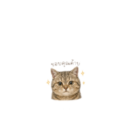 859457047