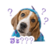 859457203