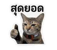 859457467