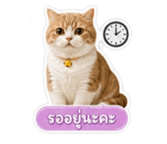 859458507
