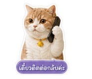 859458511