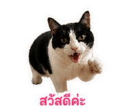 859458929