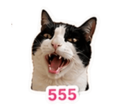 859458961