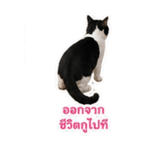 859458967