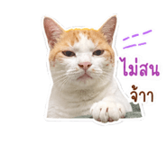 859459323