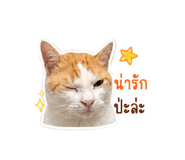 859459326