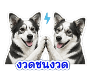 859459398