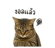 859459484
