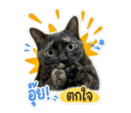 859459521
