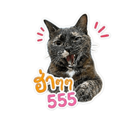 859459523