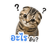 859459806