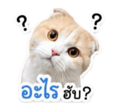 859459828