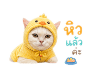859460459
