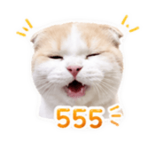 859461113