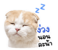 859461118