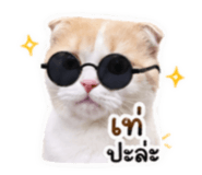 859461119