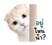 859461122