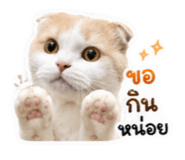 859461123