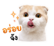 859461125