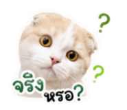 859461128