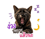 859461174