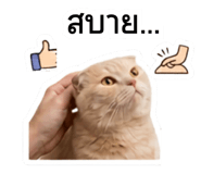 859462637