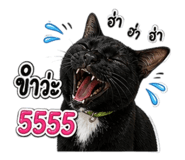 859473484