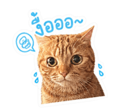 859473541