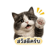 859475326