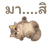 859475817