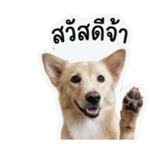 859476305