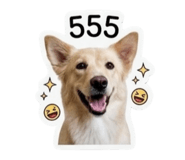 859476314