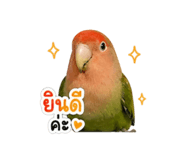 859478587