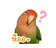 859478597