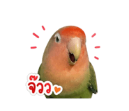 859478600