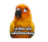 859480180