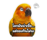 859480181