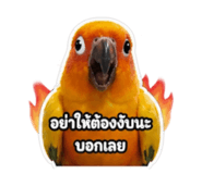 859480185