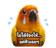 859480186