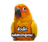859480192