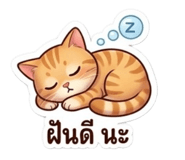 859480294