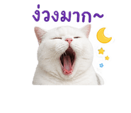 859480314