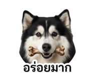 859482244
