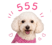 859482578