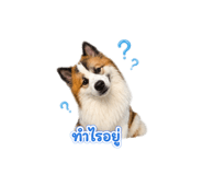 859483335