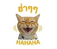 859483522