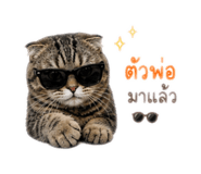 859483987