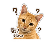 859484108